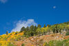 imagesofcolorado > "Moonset, Rocky Mountain National Park"